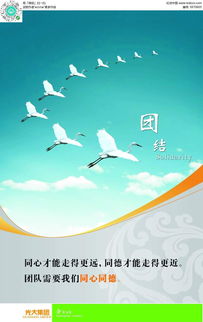團(tuán)結(jié)廣告設(shè)計(jì)PSD素材免費(fèi)下載 編號(hào)5970605紅動(dòng)網(wǎng)，助力軟件開(kāi)發(fā)